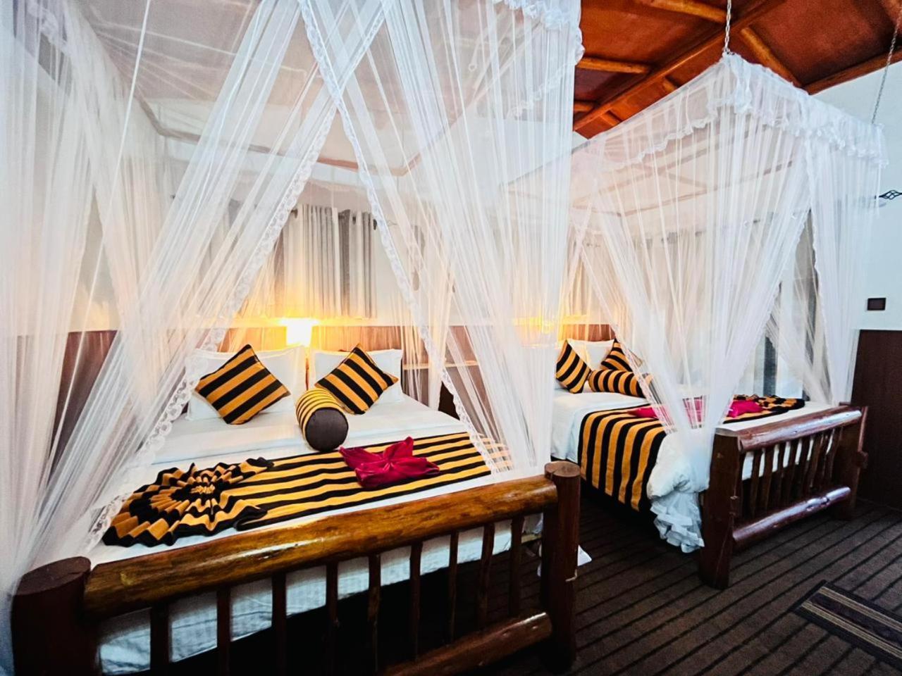 Rainbow Sky Cottage Ella Luaran gambar